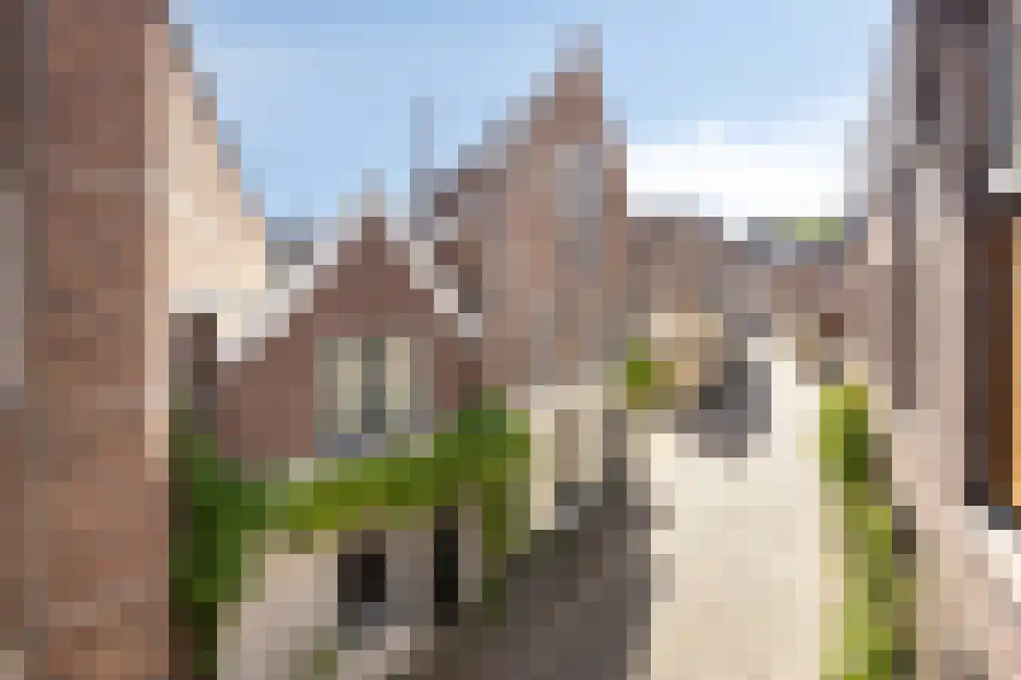 Lievenheersteeg 14 Zutphen thumbnail 54