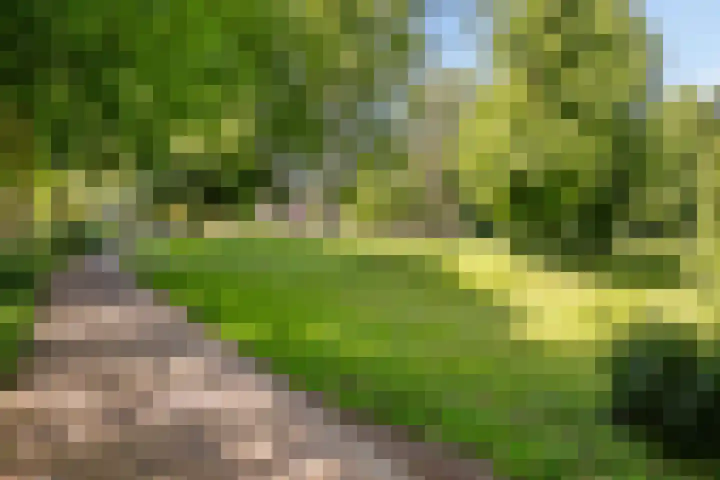 Lievenheersteeg 14 Zutphen thumbnail 55
