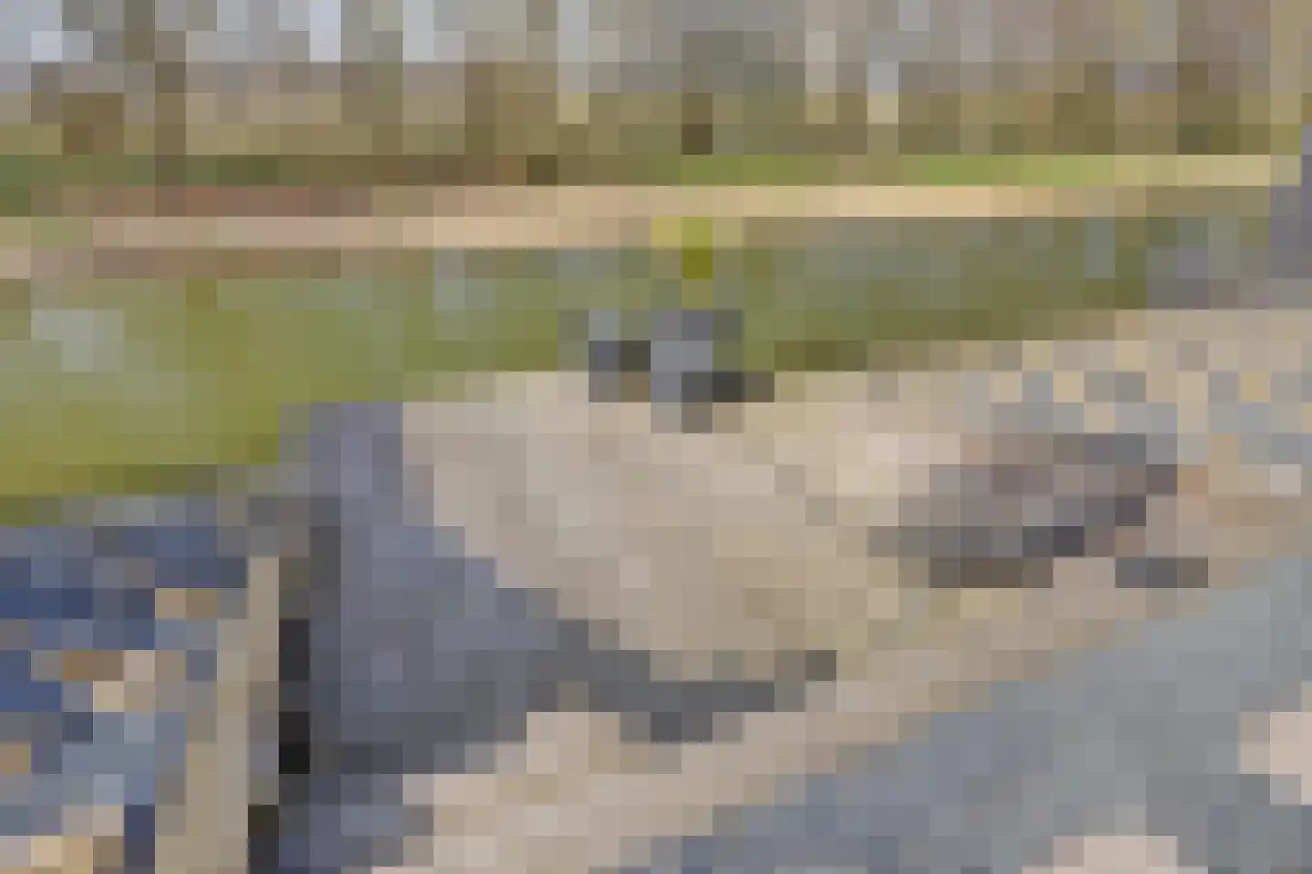Lievenlant 20 Zuid-Scharwoude thumbnail 73