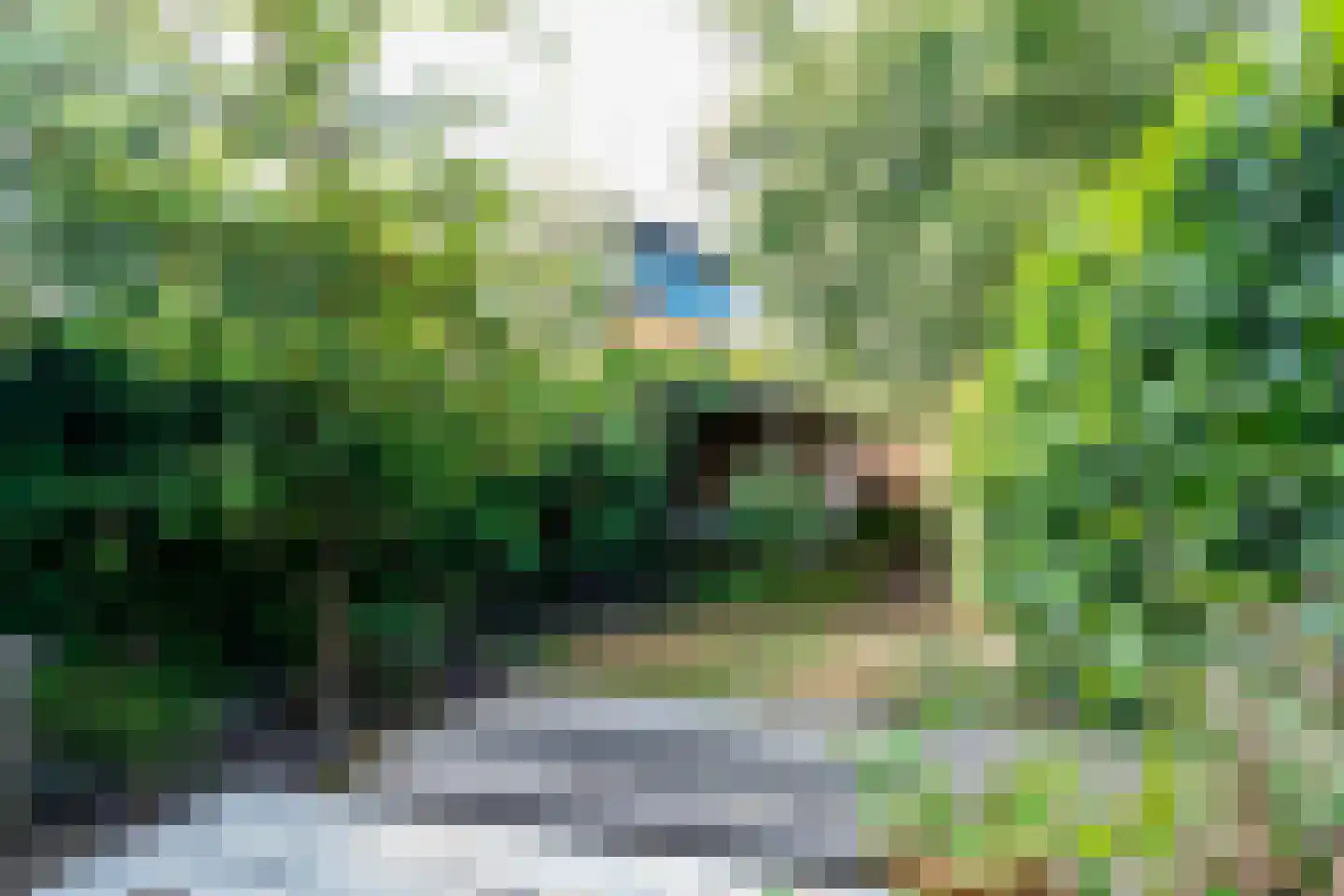 Lievensbergstraat 7 Den Haag thumbnail 17