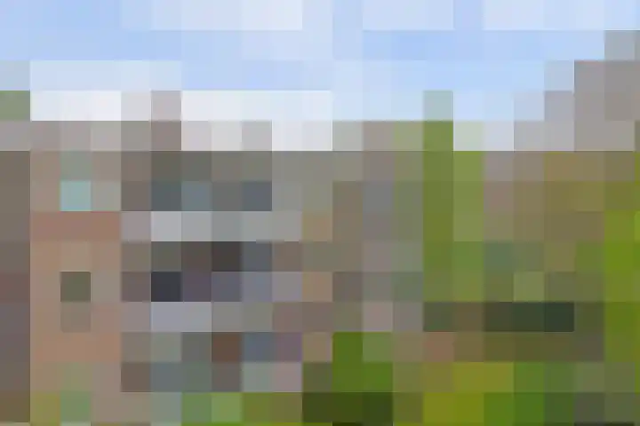 Lievenshof 31 Alkmaar thumbnail 10