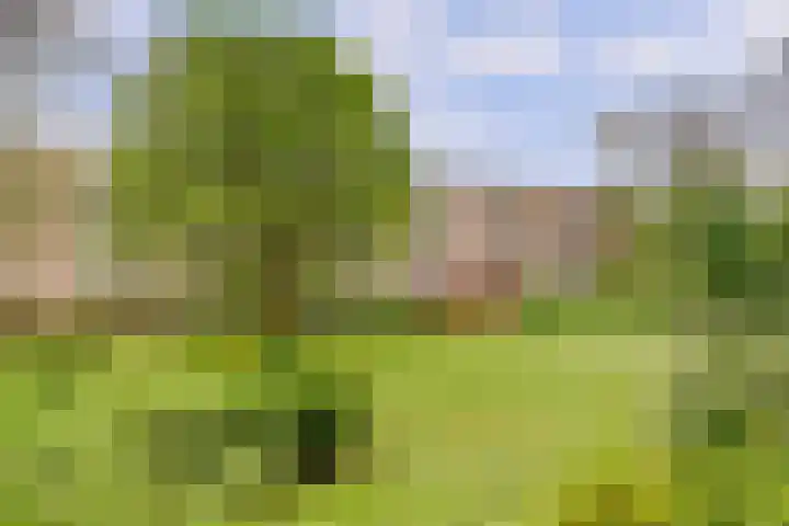 Lievenshof 31 Alkmaar thumbnail 11