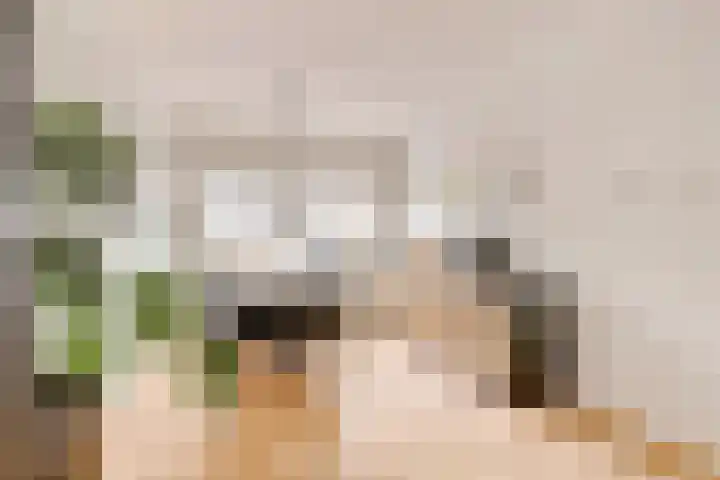 Lievenshof 31 Alkmaar thumbnail 14