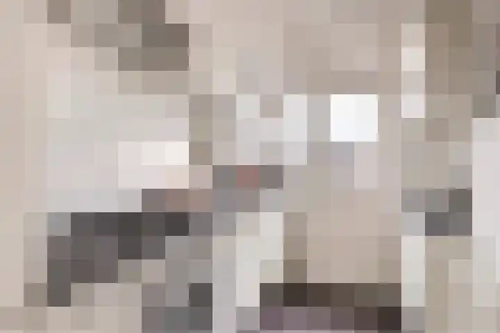 Lievenshof 31 Alkmaar thumbnail 16