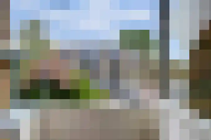 Lievenshof 31 Alkmaar thumbnail 18