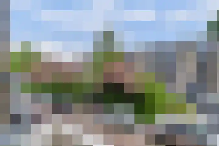 Lievenshof 31 Alkmaar thumbnail 19