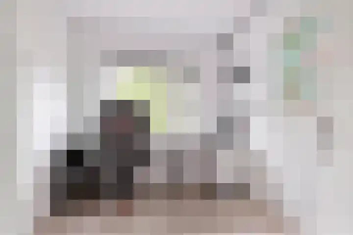 Lievenshof 31 Alkmaar thumbnail 22