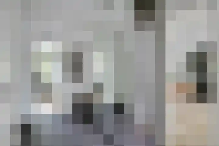 Lievenshof 31 Alkmaar thumbnail 23