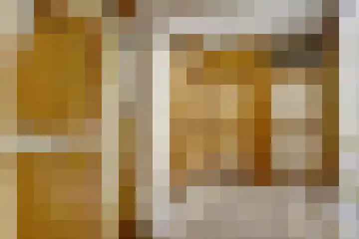 Lievenshof 31 Alkmaar thumbnail 26
