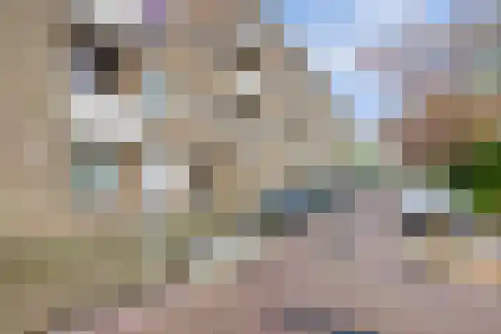 Lievenshof 31 Alkmaar thumbnail 29