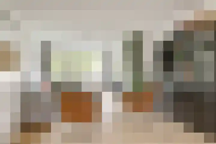 Lievenshof 31 Alkmaar thumbnail 4