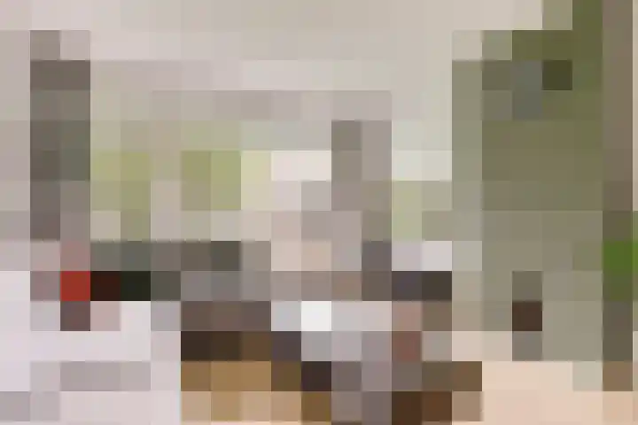 Lievenshof 31 Alkmaar thumbnail 5