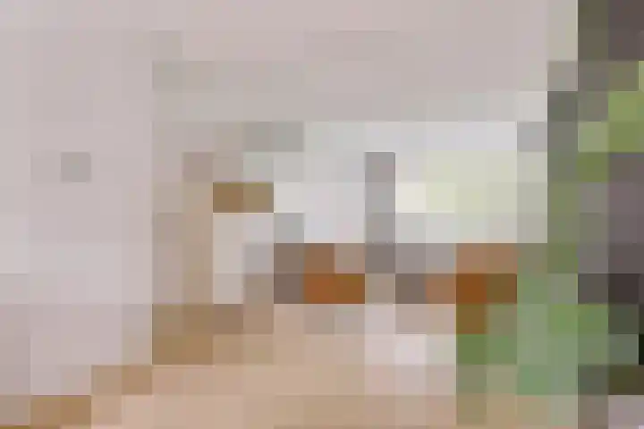 Lievenshof 31 Alkmaar thumbnail 6