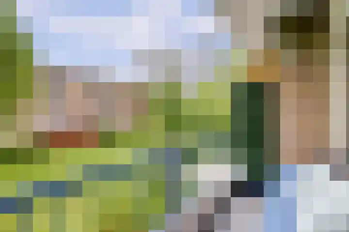 Lievenshof 31 Alkmaar thumbnail 8
