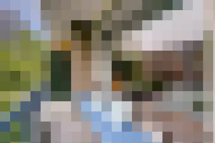Lievenshof 31 Alkmaar thumbnail 9