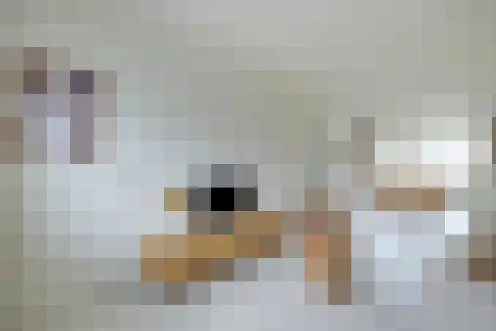 Lievenshof 41 Alkmaar thumbnail 14