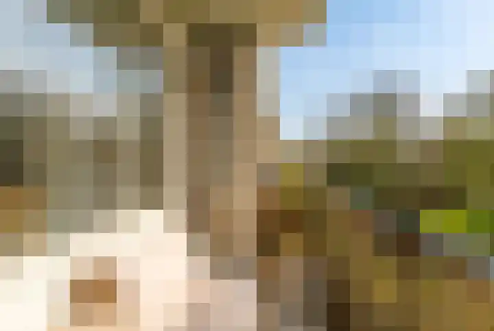 Lievenshof 41 Alkmaar thumbnail 22