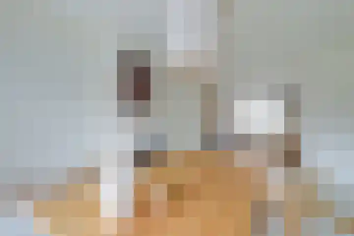 Lievenshof 41 Alkmaar thumbnail 23