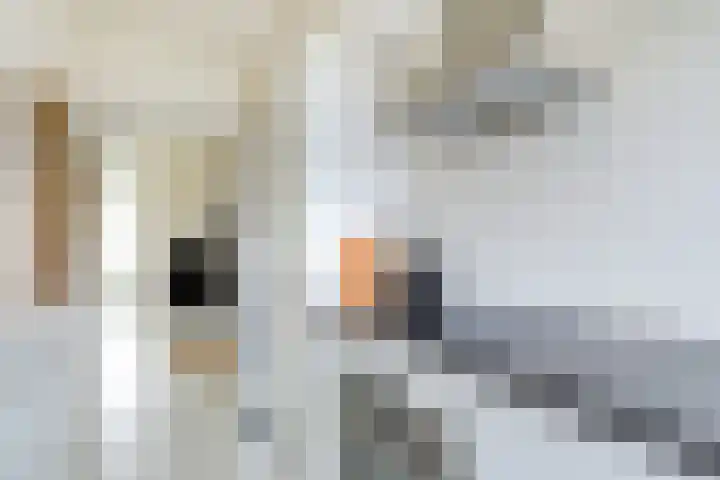 Lievenshof 41 Alkmaar thumbnail 26