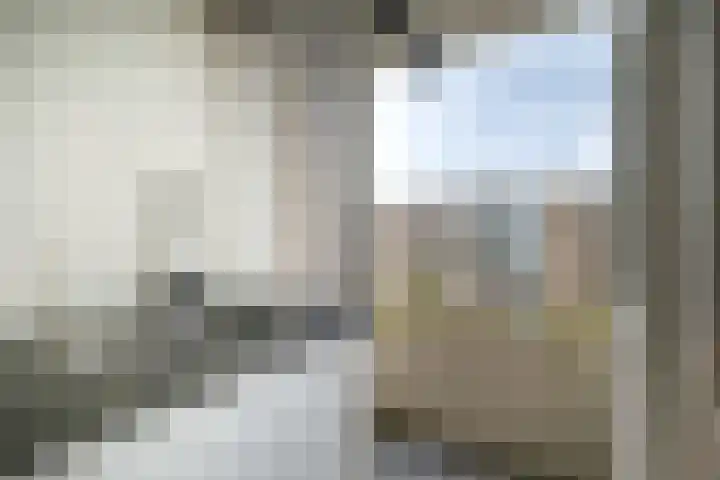 Lievenshof 41 Alkmaar thumbnail 28
