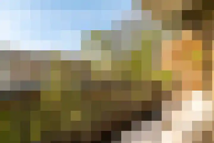 Lievenshof 41 Alkmaar thumbnail 4