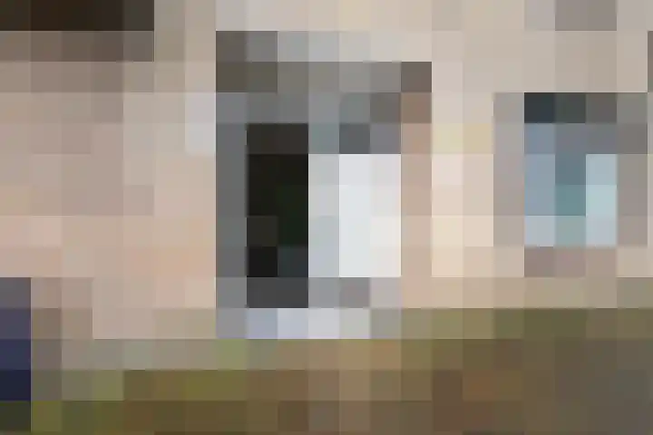 Lievenshof 41 Alkmaar thumbnail 42
