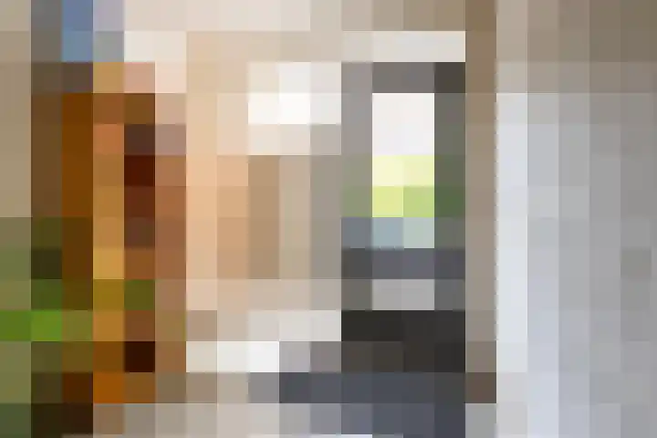 Lievenshof 41 Alkmaar thumbnail 43