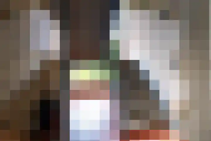 Lievenshof 41 Alkmaar thumbnail 44