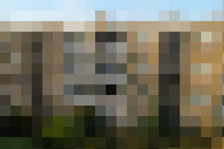 Lievenshof 41 Alkmaar thumbnail 45