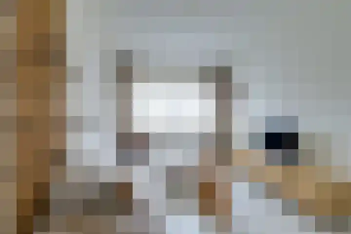 Lievenshof 41 Alkmaar thumbnail 9