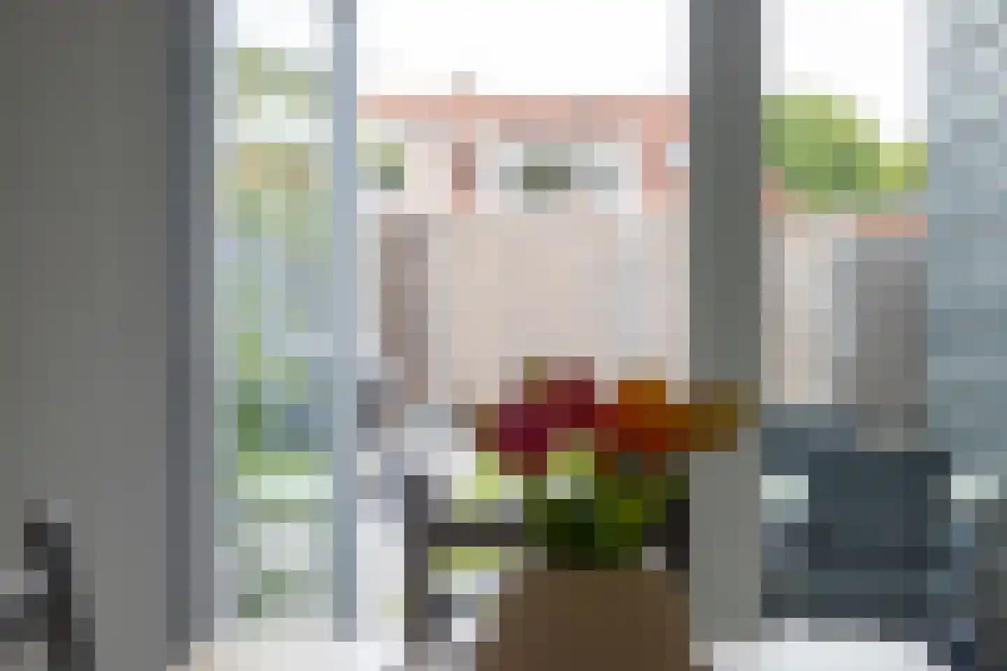Lievensstraat 2 Terneuzen thumbnail 17