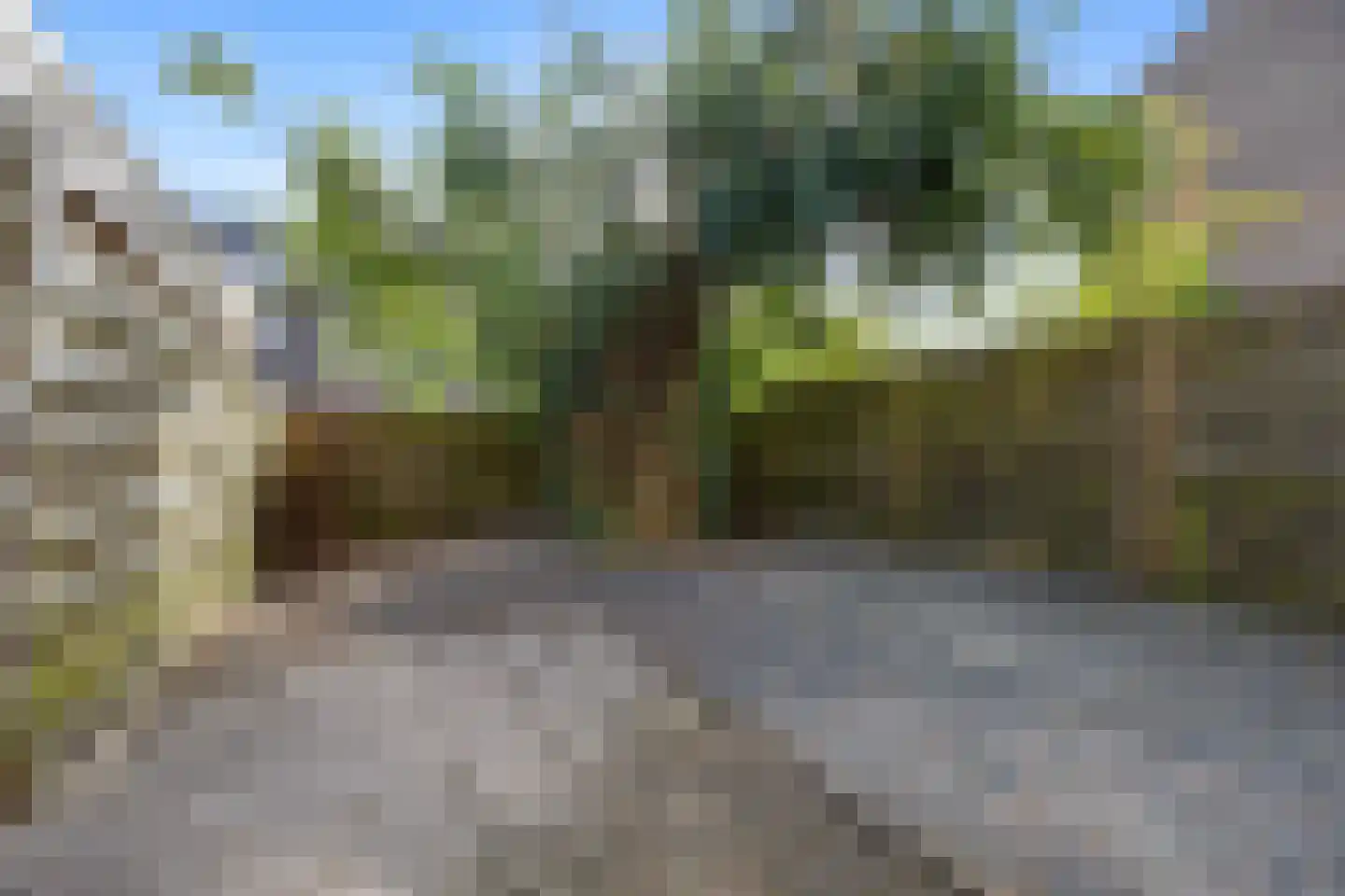 Lievensweg 11 Groesbeek thumbnail 19