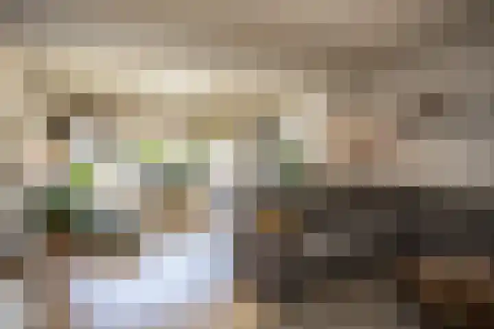 Lievensweg 17 Groesbeek thumbnail 6