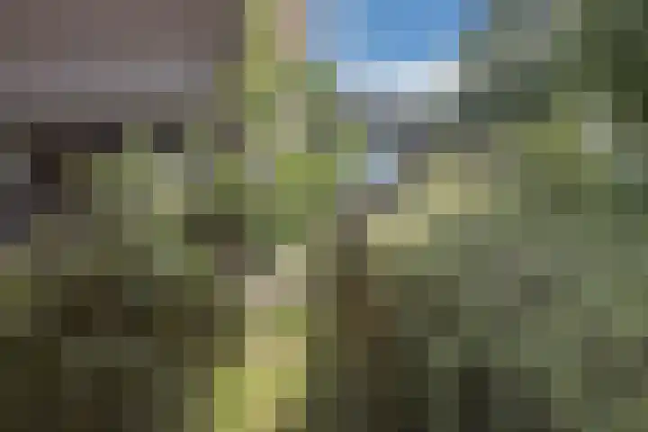 Lievensweg 21 Groesbeek thumbnail 44