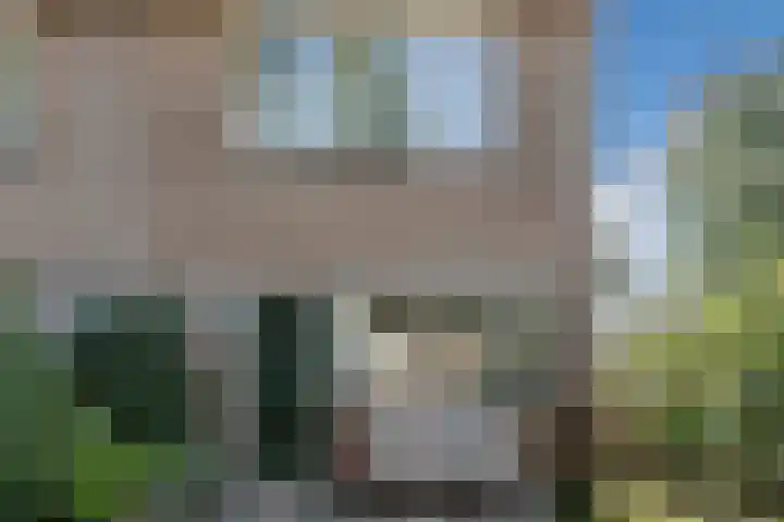 Lievensweg 21 Groesbeek thumbnail 45