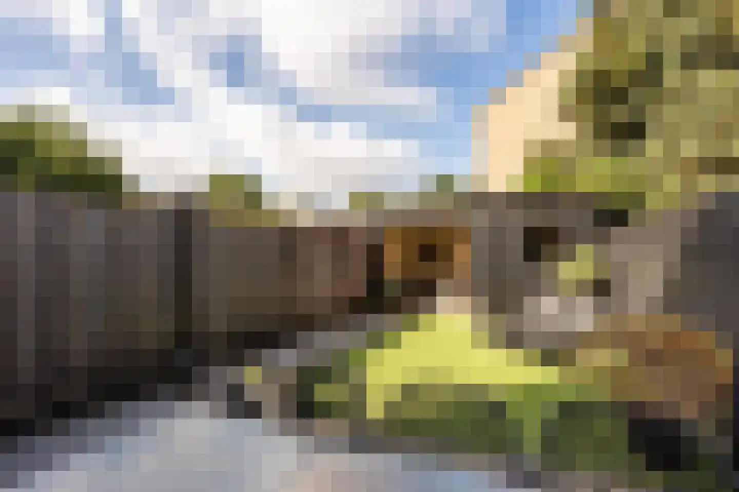 Lievensweg 28 Groesbeek thumbnail 43