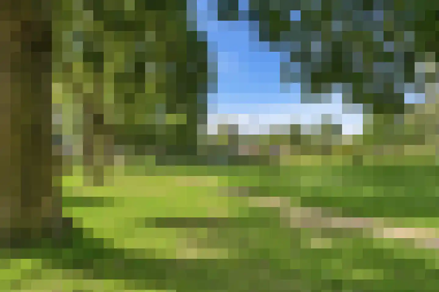 Lievensweg 56 Groesbeek thumbnail 33