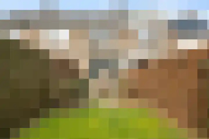 Lievensweg 70 Groesbeek thumbnail 20