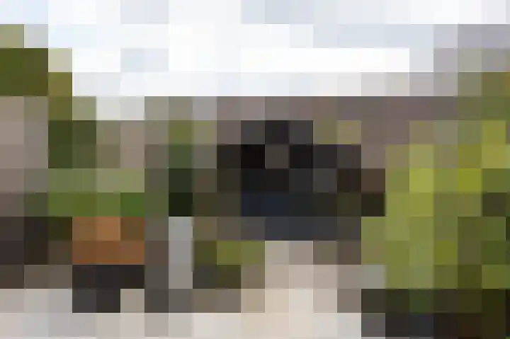 Lievensweg 76 Groesbeek thumbnail 41