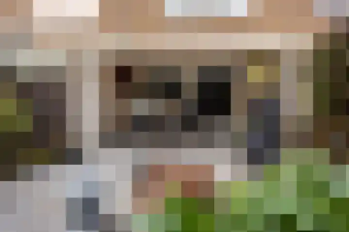 Lievensweg 76 Groesbeek thumbnail 44