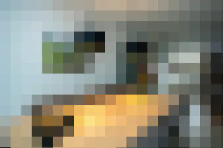 Lievensweg 93 Groesbeek thumbnail 10
