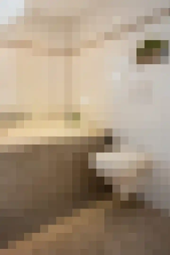 Lievensweg 93 Groesbeek thumbnail 30