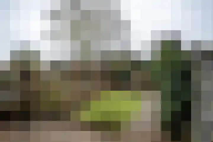Lievensweg 93 Groesbeek thumbnail 40