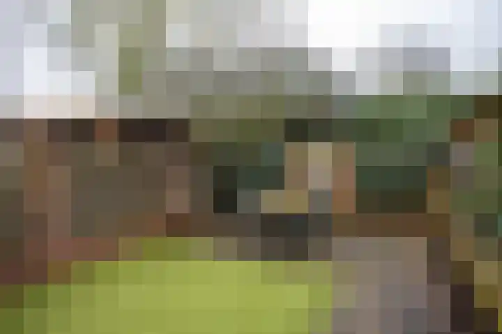 Lievensweg 93 Groesbeek thumbnail 41