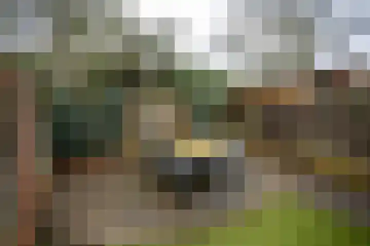 Lievensweg 93 Groesbeek thumbnail 42