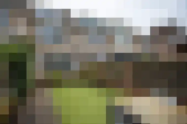 Lievensweg 93 Groesbeek thumbnail 44