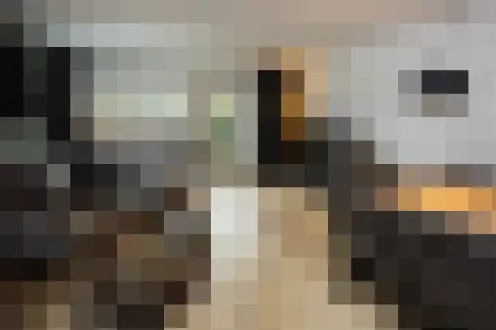 Lievensweg 93 Groesbeek thumbnail 7