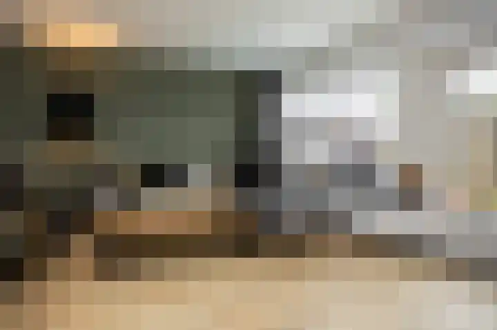 Lievensweg 93 Groesbeek thumbnail 8