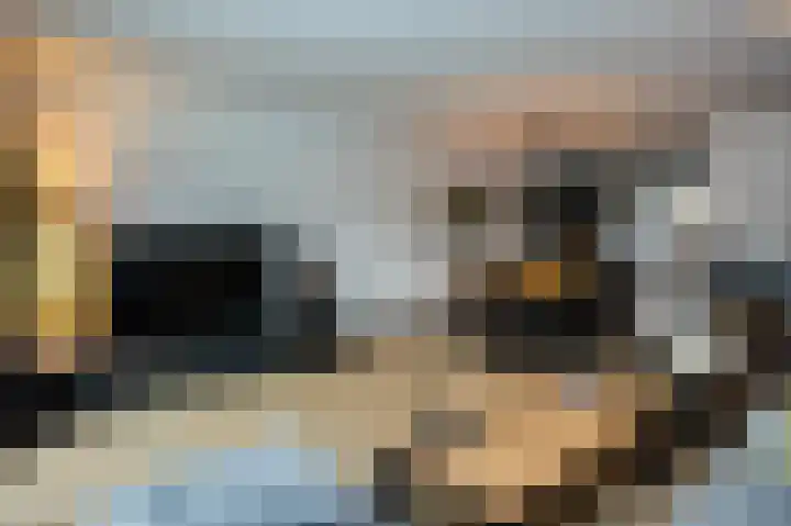 Lievensweg 93 Groesbeek thumbnail 9