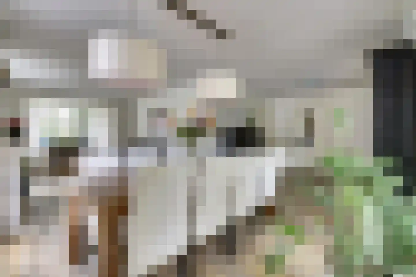 Lieverman 3 Gemert thumbnail 11